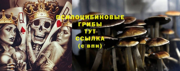 хмурый Магадан