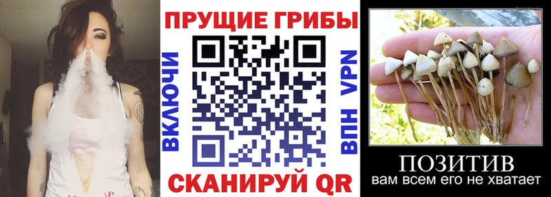 Галлюциногенные грибы мицелий  Чекалин 