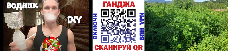 Бошки Шишки сатива  блэк спрут сайт  Чекалин 